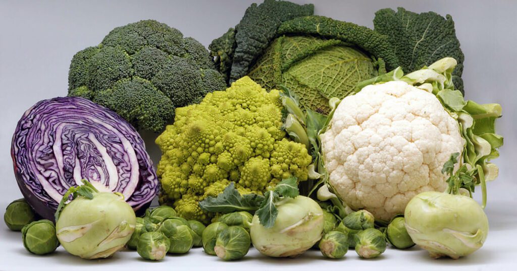 cruciferous vegetables are excellent for those who have pancreatitis
