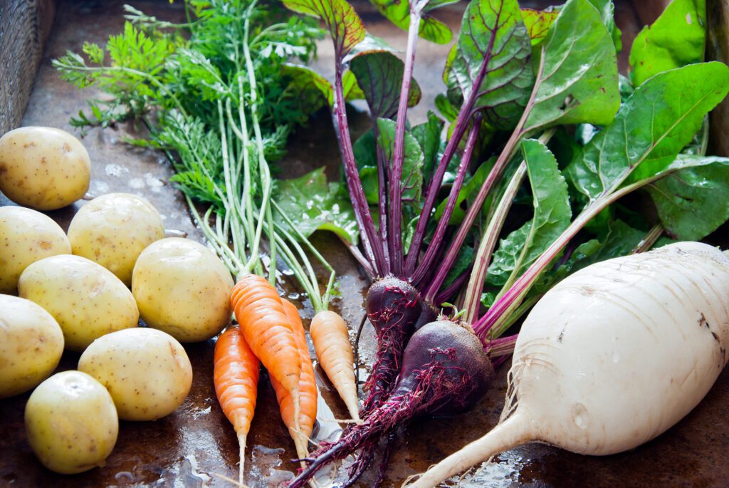 root vegetables and tubers are excellent food choices